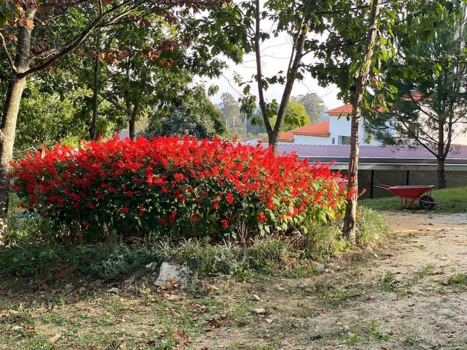 Вилла Casa Do Carvalhal - Quinta Do Soldado Alquerubim Экстерьер фото