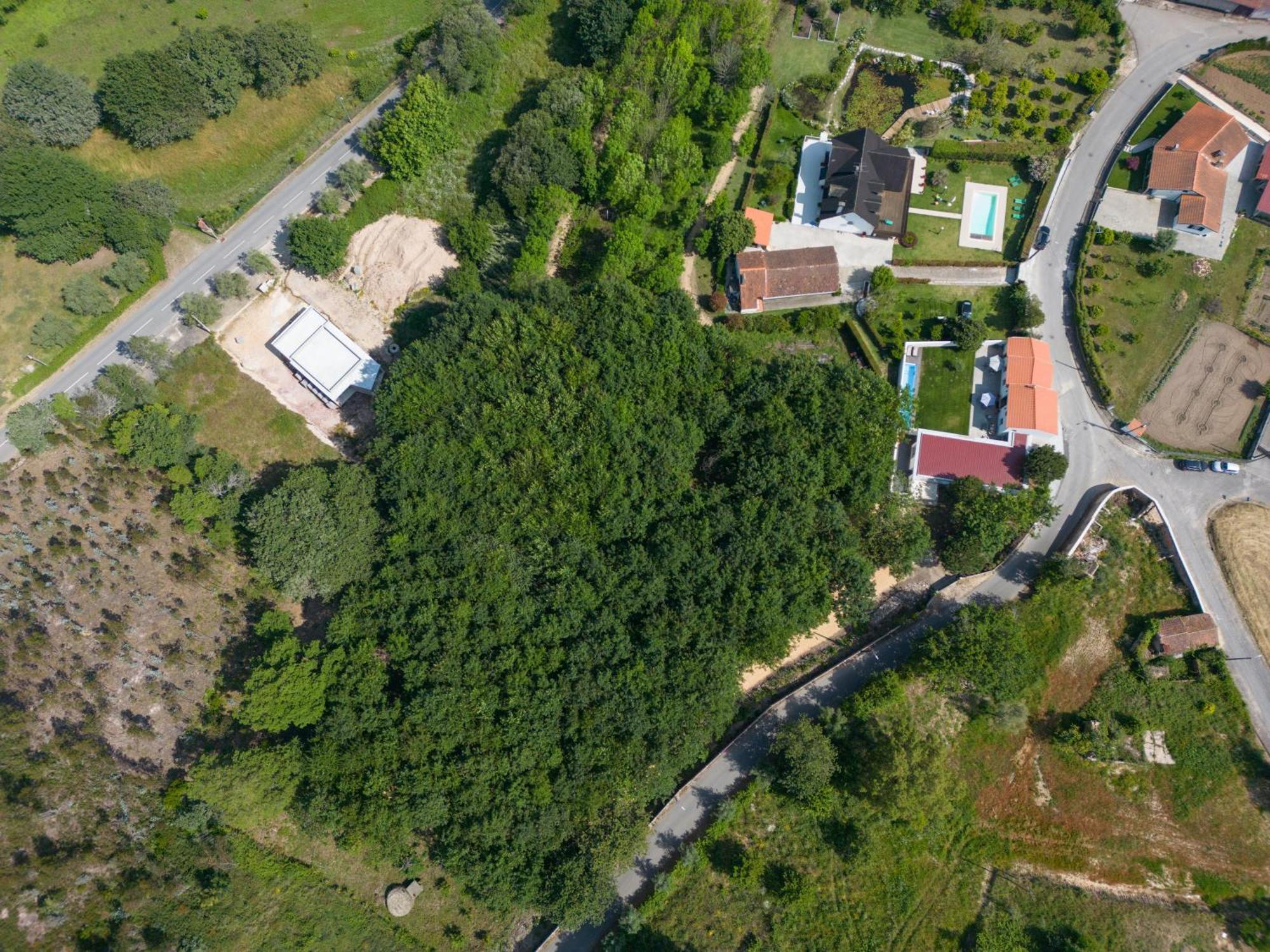 Вилла Casa Do Carvalhal - Quinta Do Soldado Alquerubim Экстерьер фото